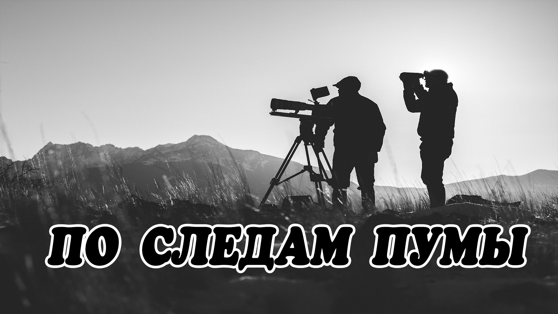 По следам пумы