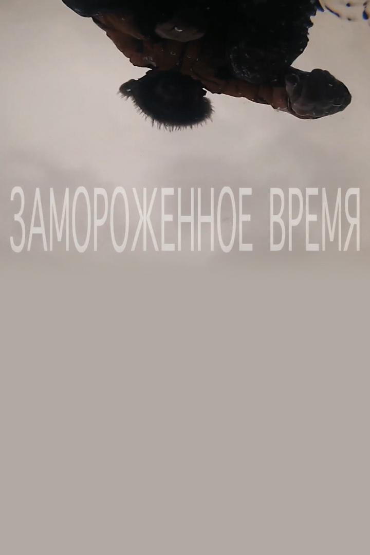 Замороженное время