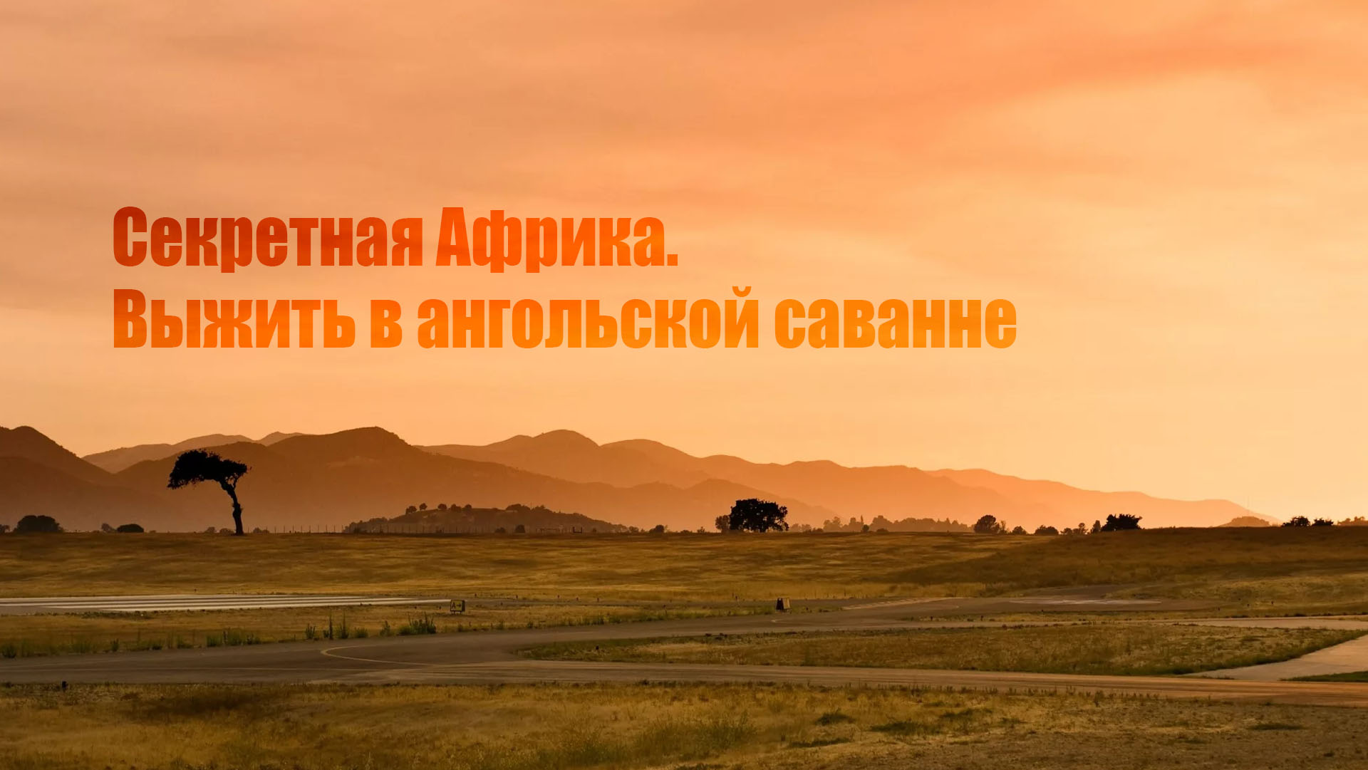 Секретная Африка. Выжить в ангольской саванне