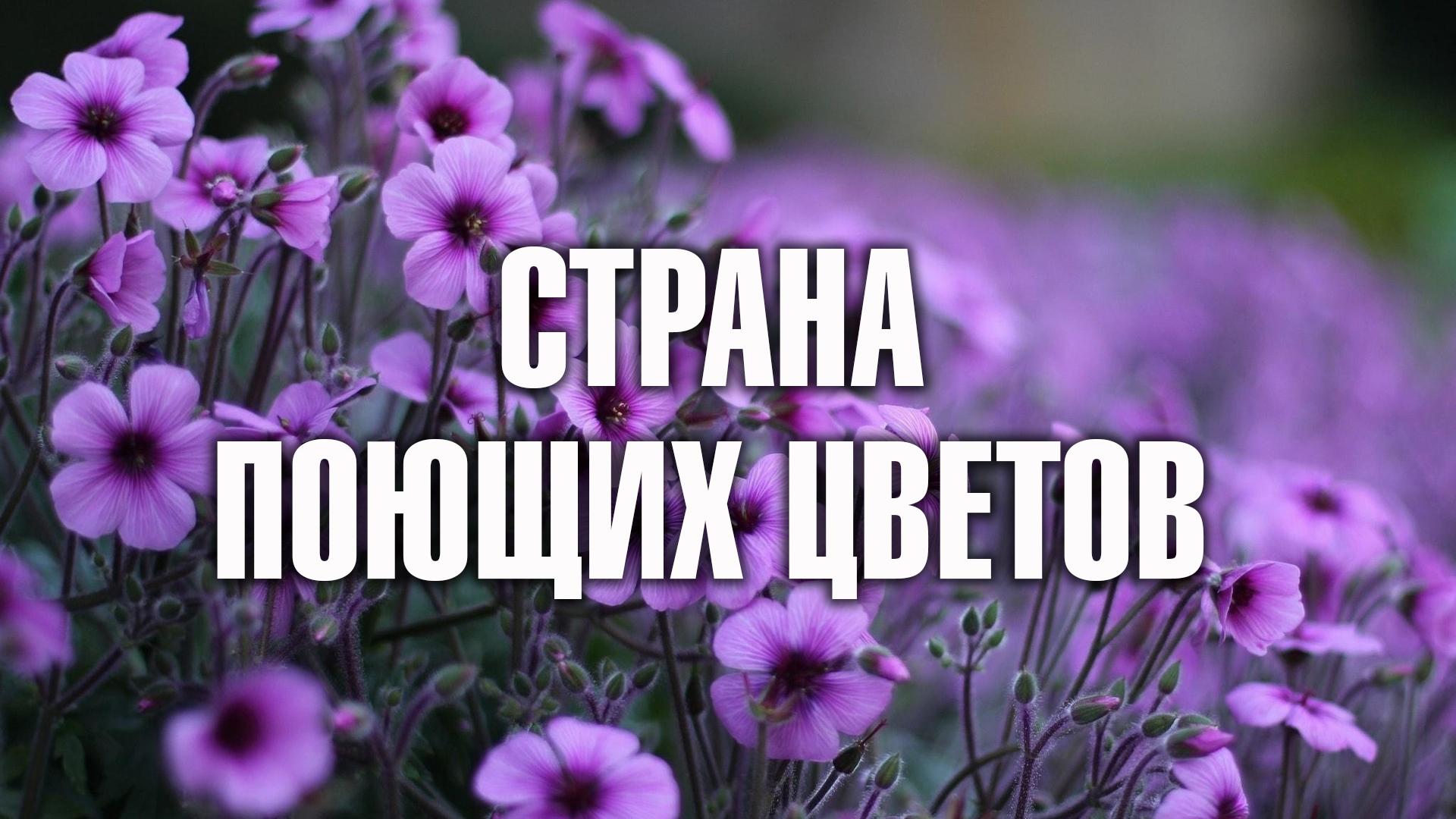 Страна поющих цветов
