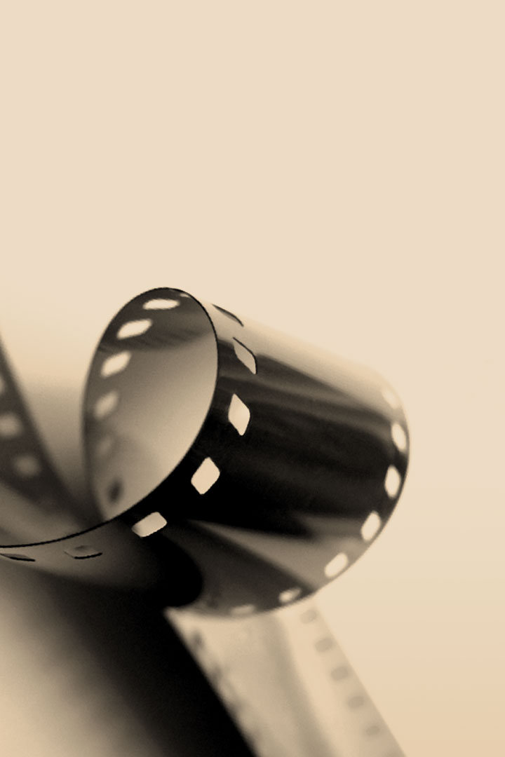 Пещерные львы