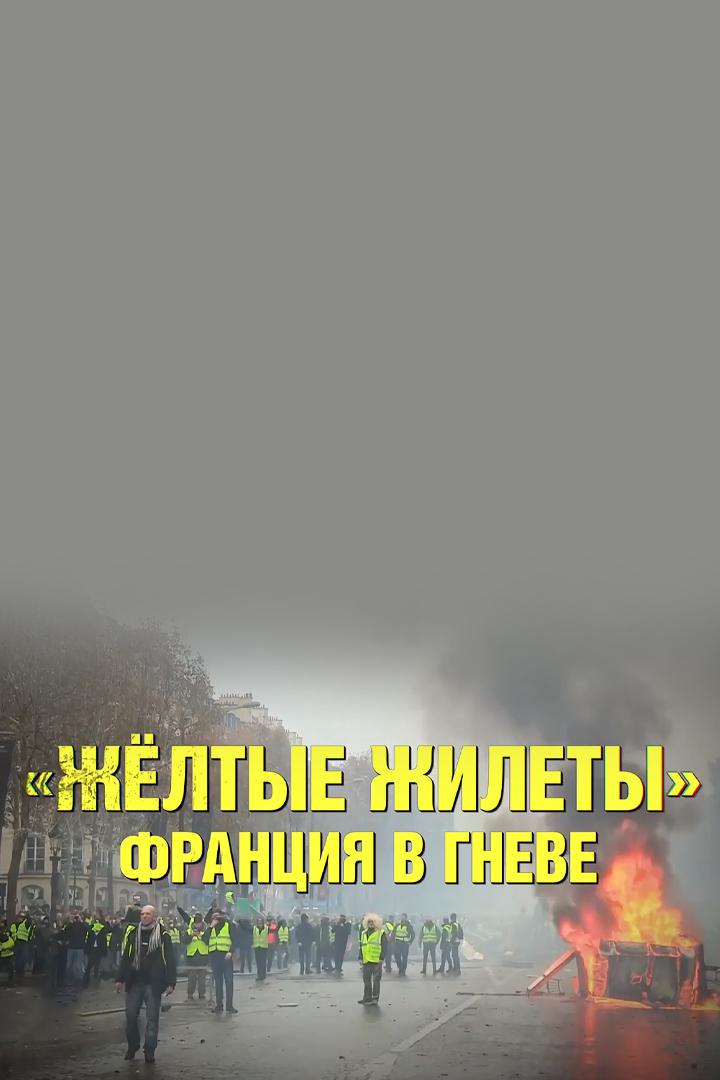"Жёлтые жилеты". Франция в гневе