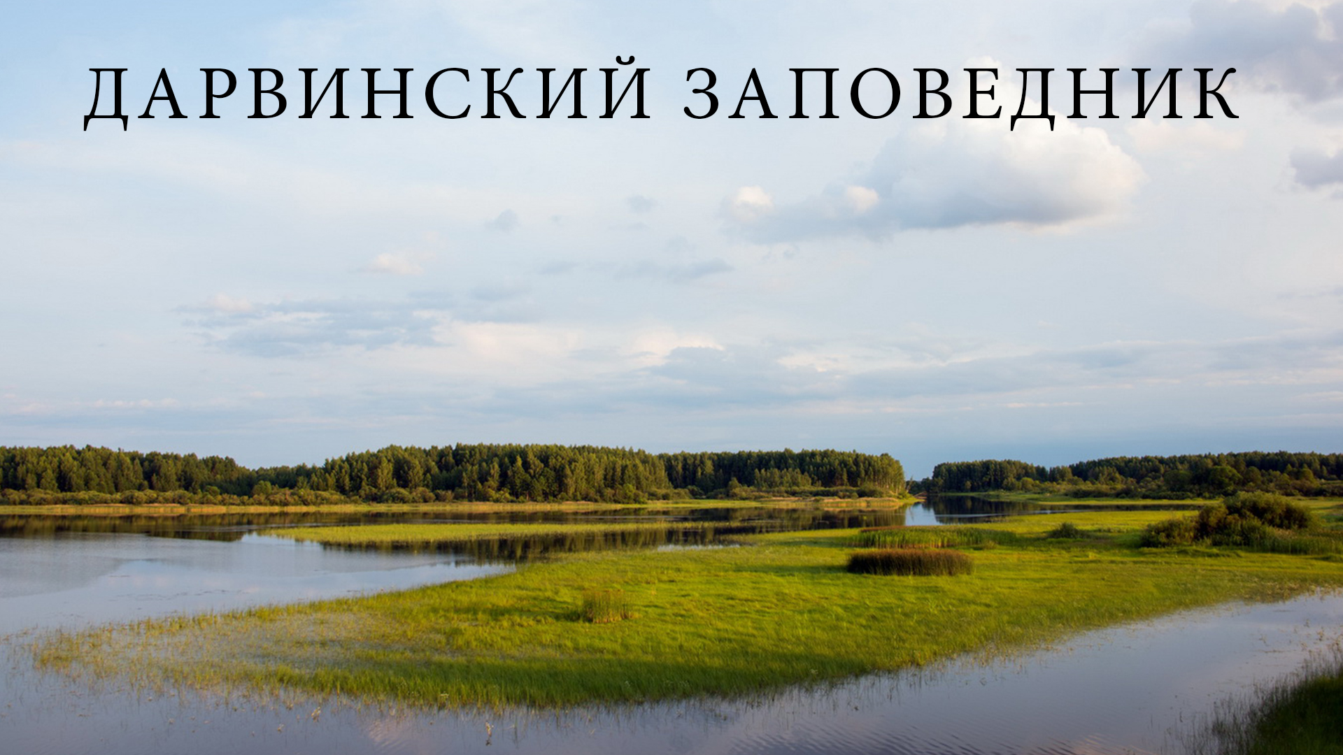 Дарвинский заповедник
