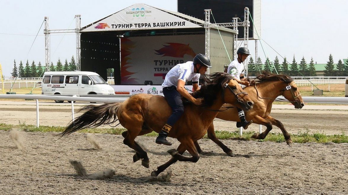 Конноспортивный турнир "Терра Башкирия". XII этап