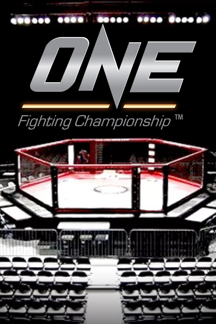 Смешанные единоборства. One FC. Деметриус Джонсон против Дэнни Кингада. Трансляция из Японии