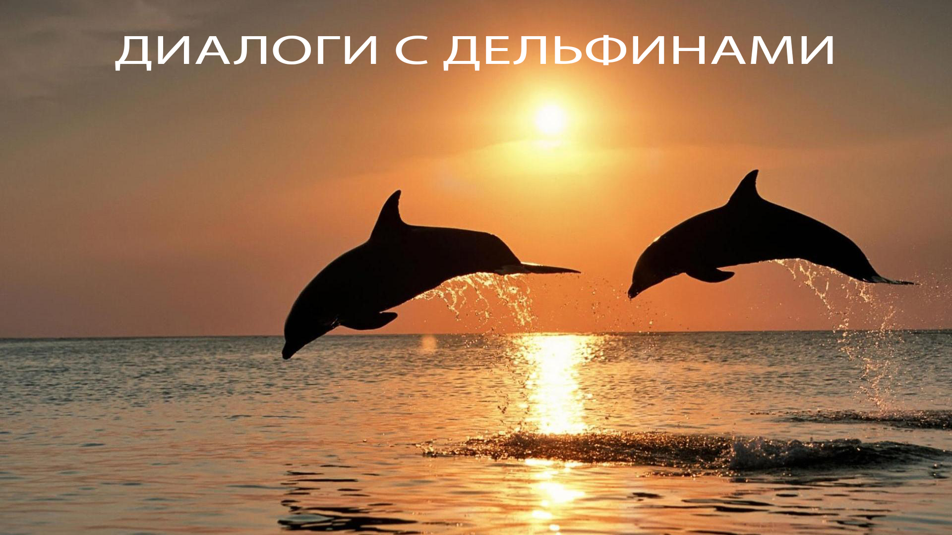 Диалоги с дельфинами