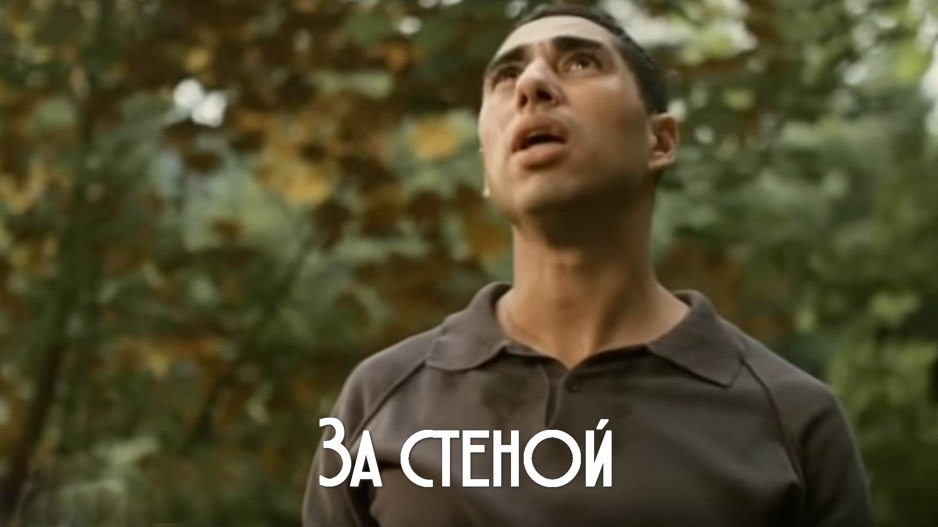 За стеной