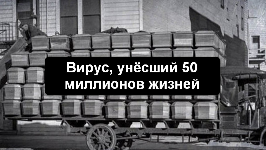 Вирус, унёсший 50 миллионов жизней