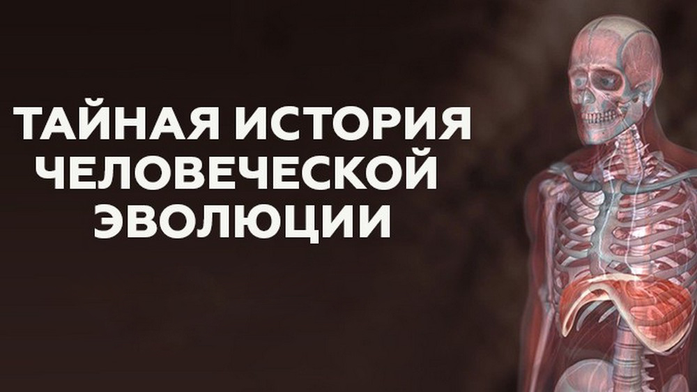 Тайная история человеческой эволюции