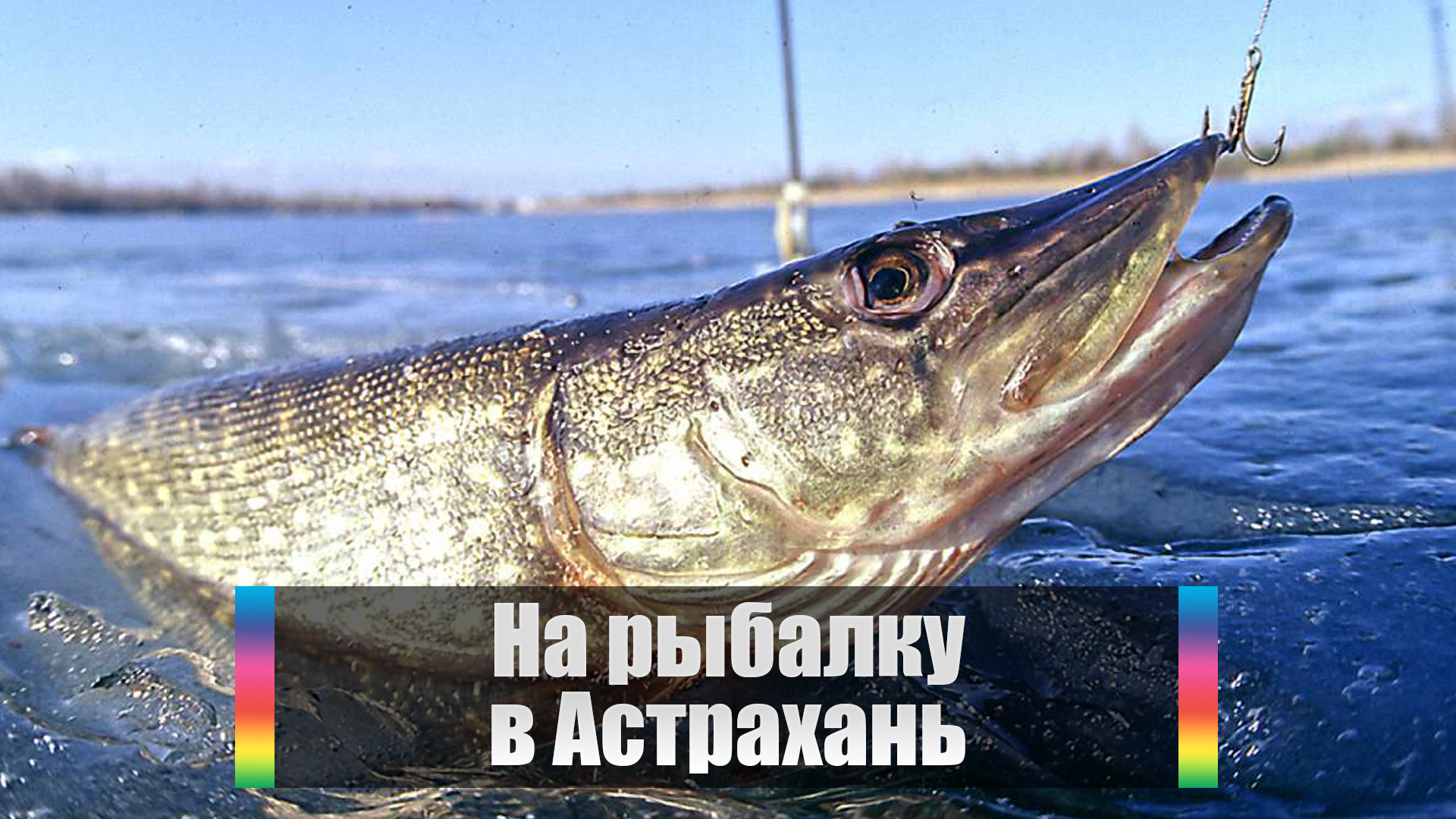 На рыбалку в Астрахань
