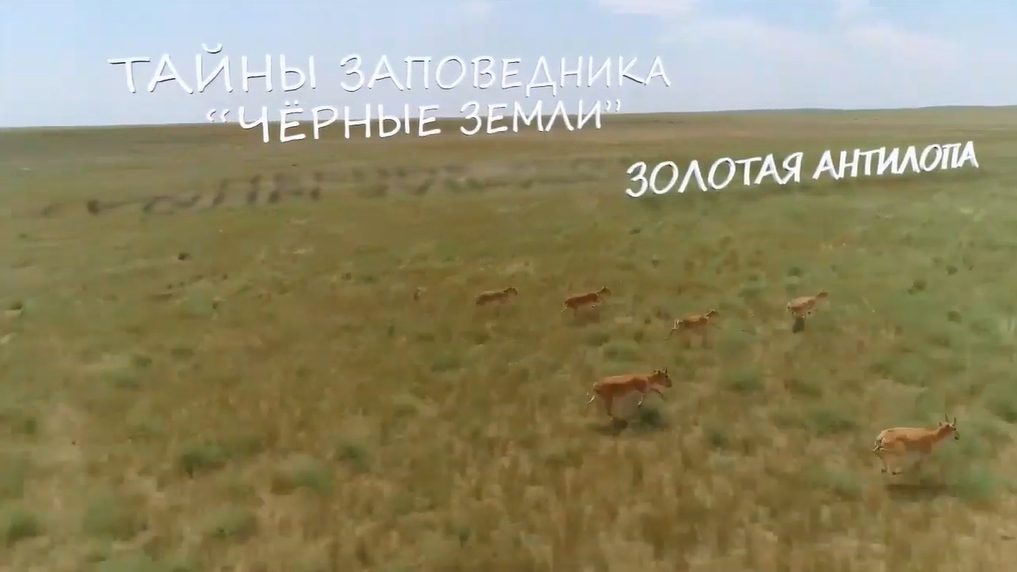 Тайна заповедника Чёрные земли