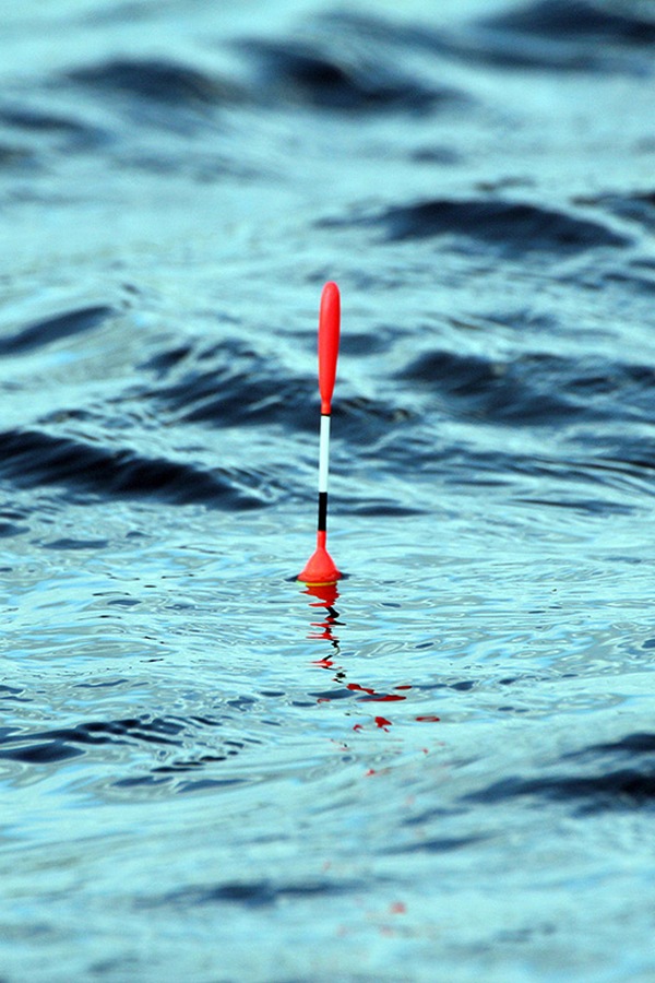 Рыбалка на родине