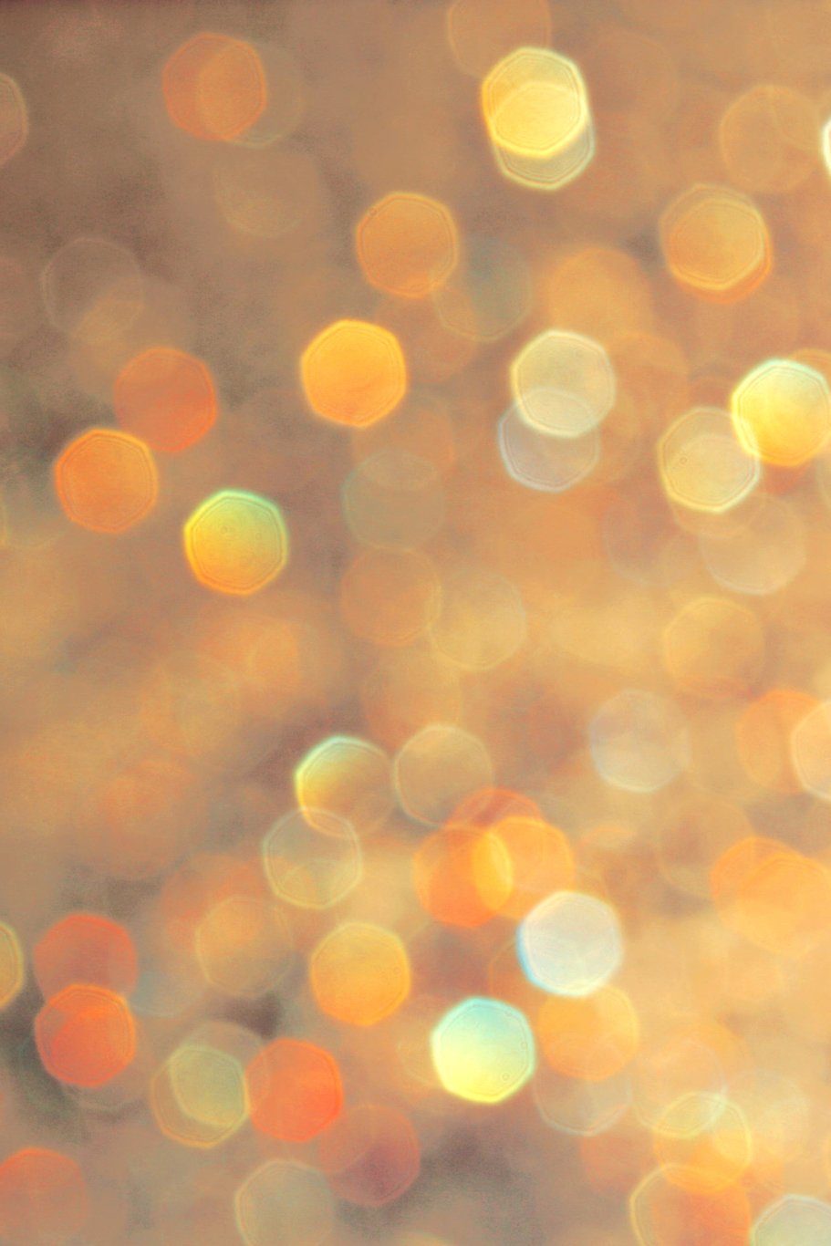 Большое путешествие большой семьи