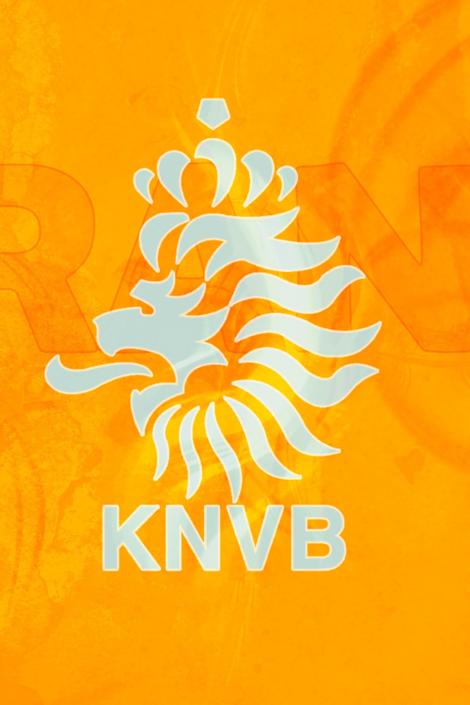 Кубок Нидерландов. 1/4 финала. "Херенвен" - "Фейеноорд"