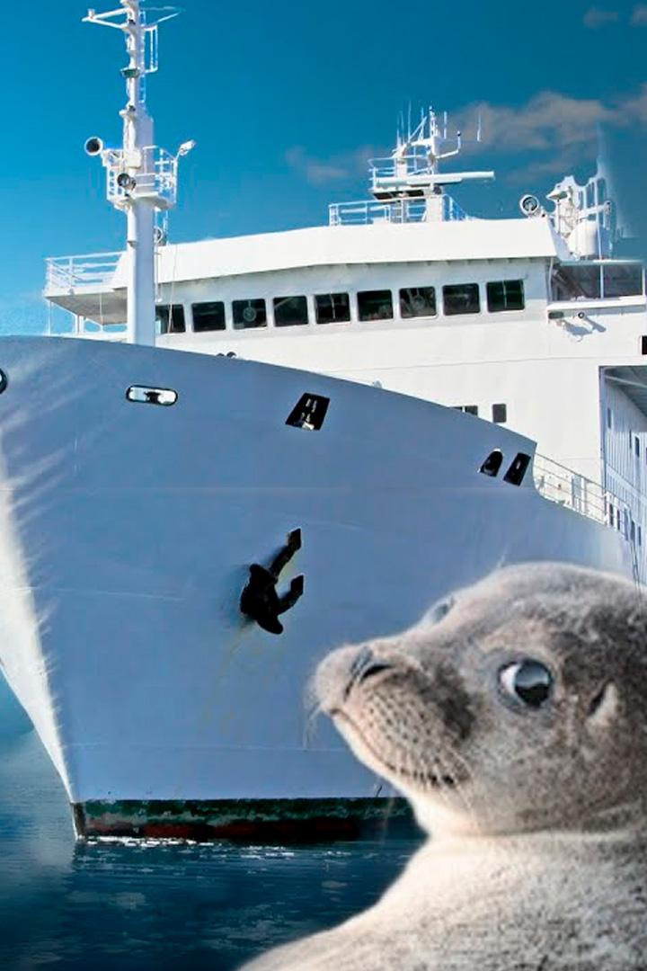 Экспедиция Антарктика