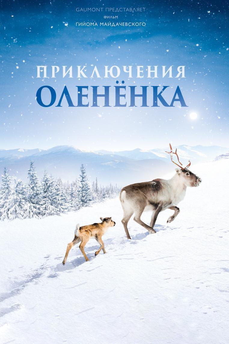 Приключения оленёнка