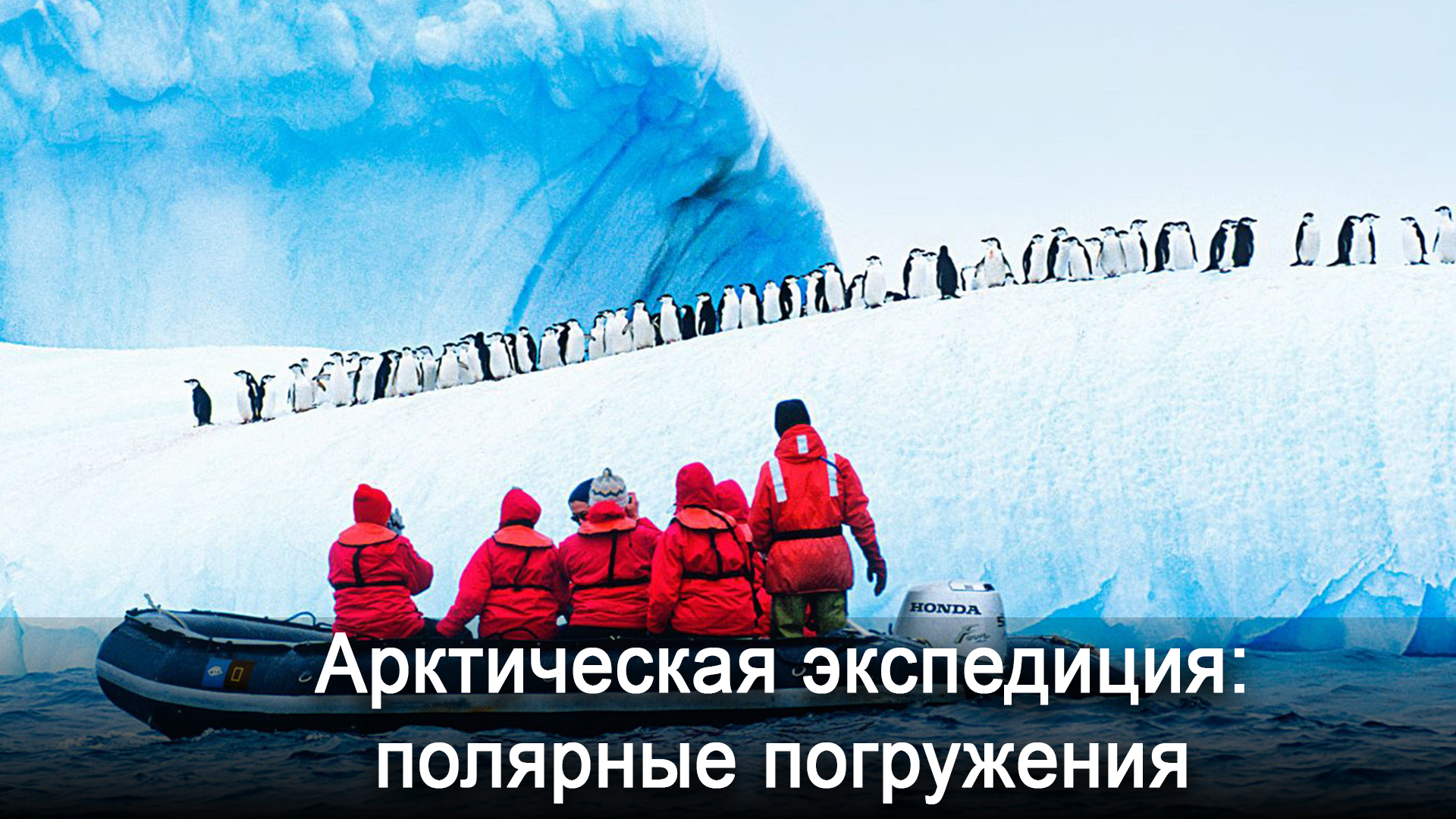 Арктическая экспедиция: полярные погружения
