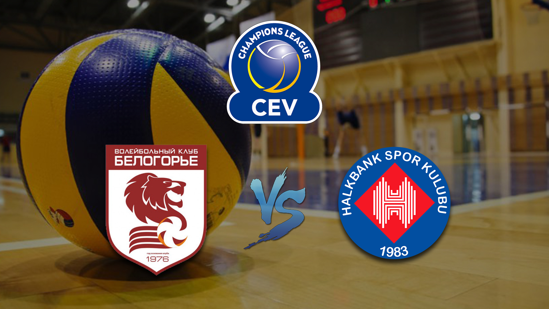 Волейбол. Лига чемпионов. Сезон 2013/14. Мужчины. "Финал 4-х". Финал. "Белогорье" (Россия) - "Халкбанк" (Турция). Трансляция из Турции