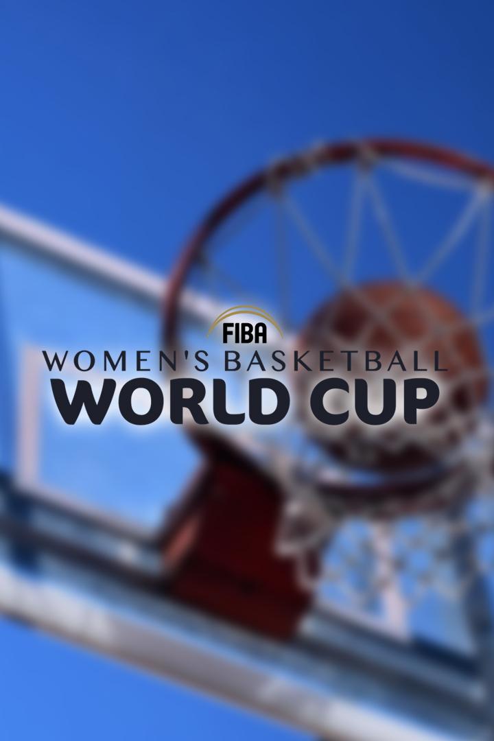 Чемпионат мира 2010. Сербия - Германия