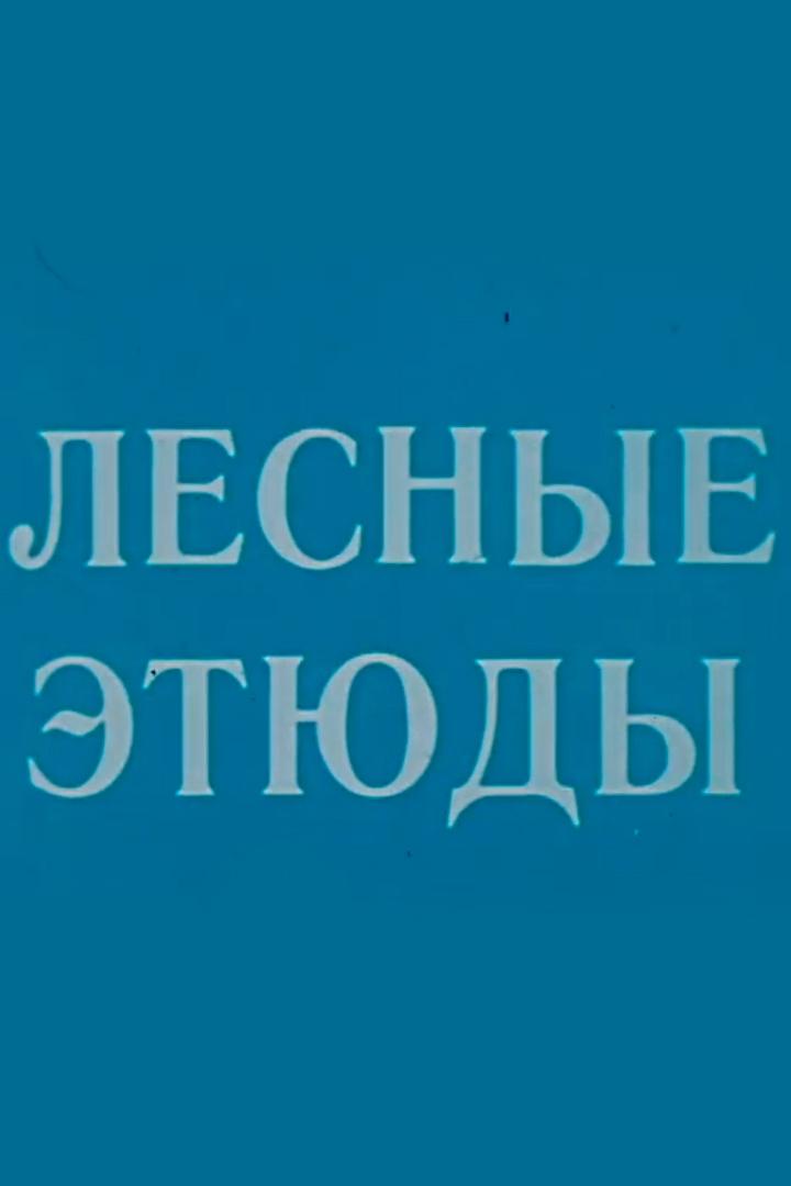 Лесные этюды