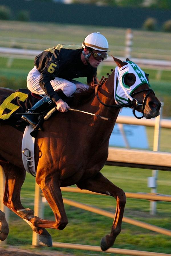 Скачки. Конноспортивный турнир "Терра Башкирия". 7-й этап