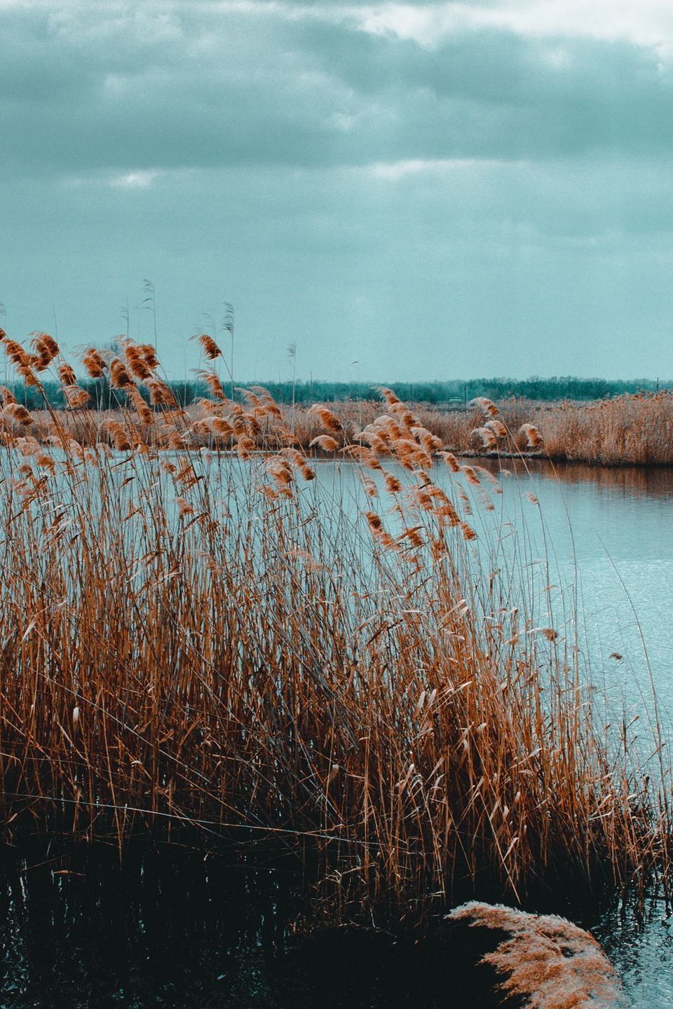 Урочище Берказан Камыш