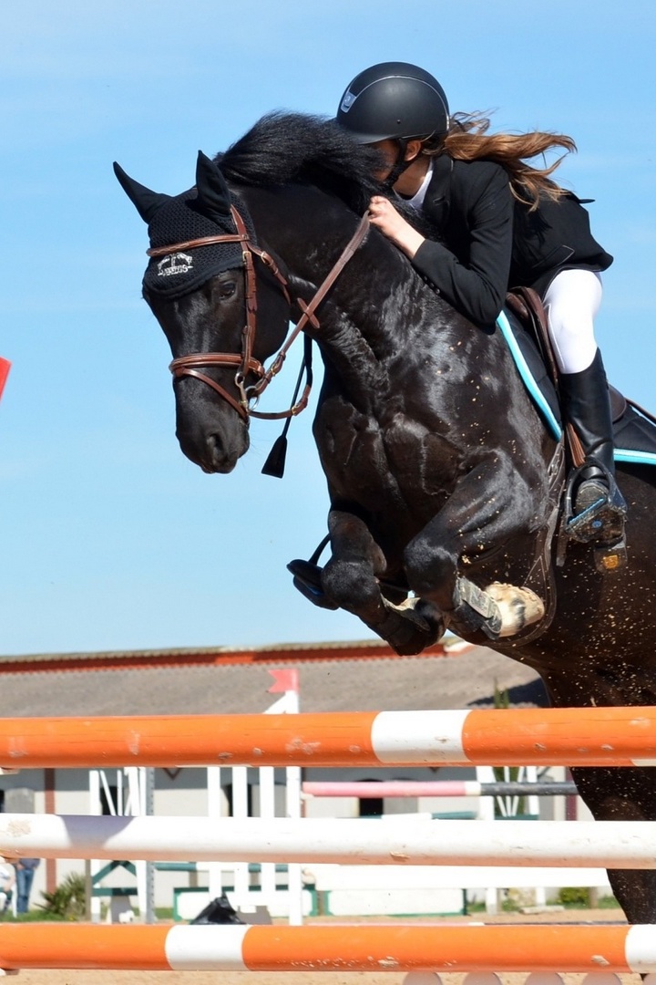 Скачки. Конноспортивный турнир "Терра Башкирия". 9 этап