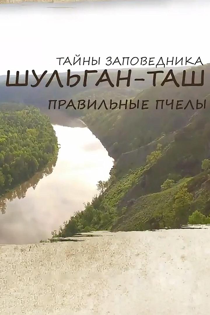 Тайны заповедника Шульган-Таш. Правильные пчелы