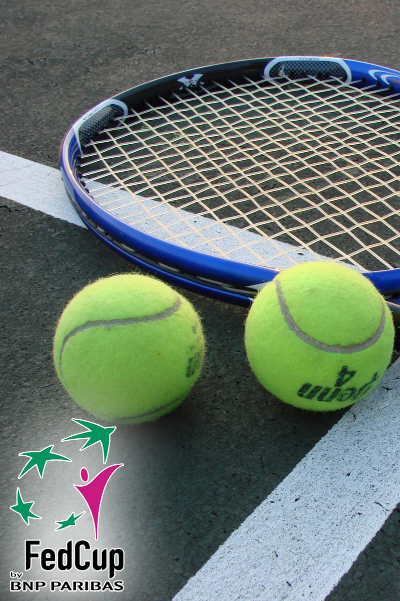 Теннис. Кубок Федерации - 2007. Финал. Россия - Италия. С. Кузнецова - Ф. Скьявоне