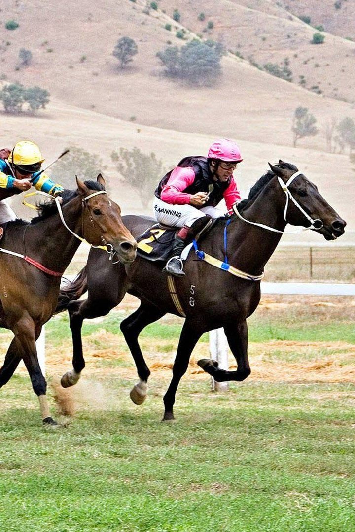 Скачки. "Yorkshire Oaks". Трансляция из Англии