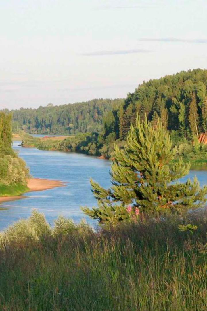 Ветлуга