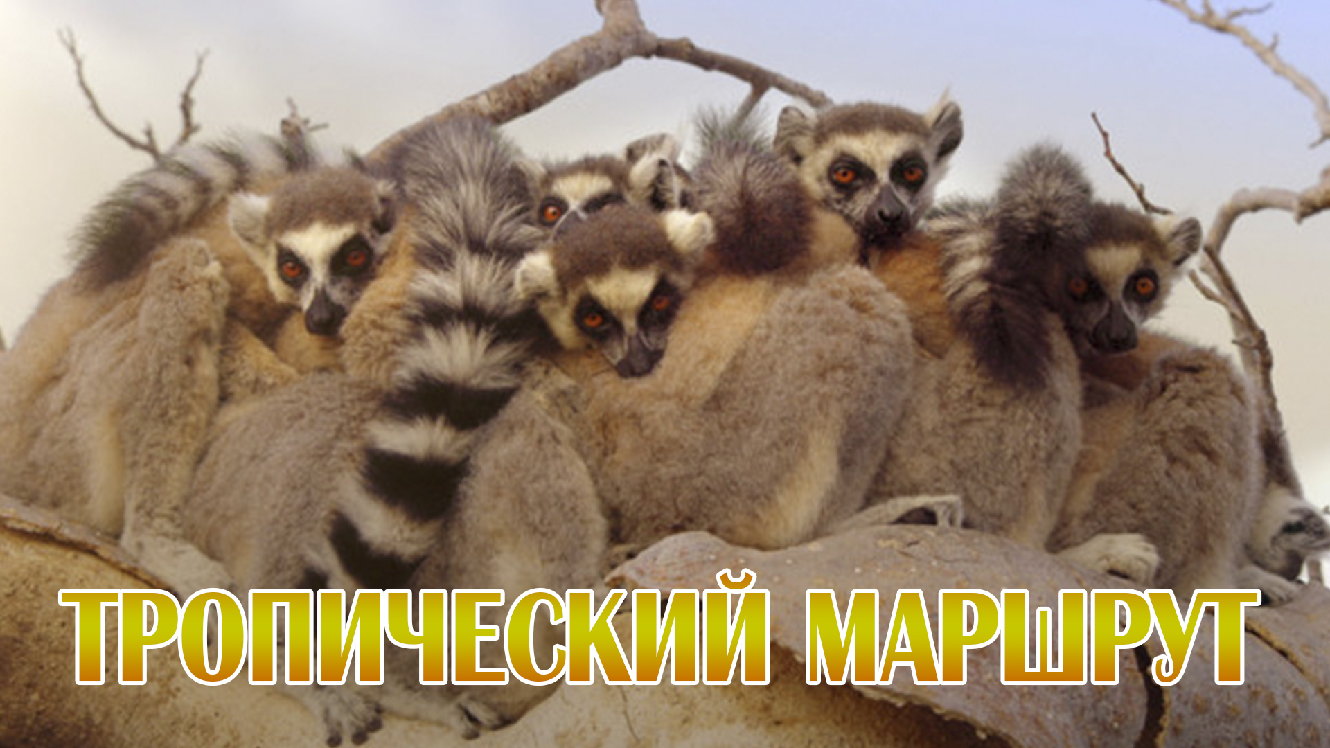 Тропический маршрут