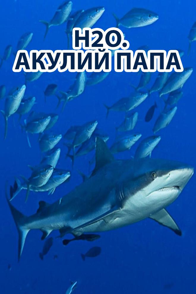 H2O. Акулий папа