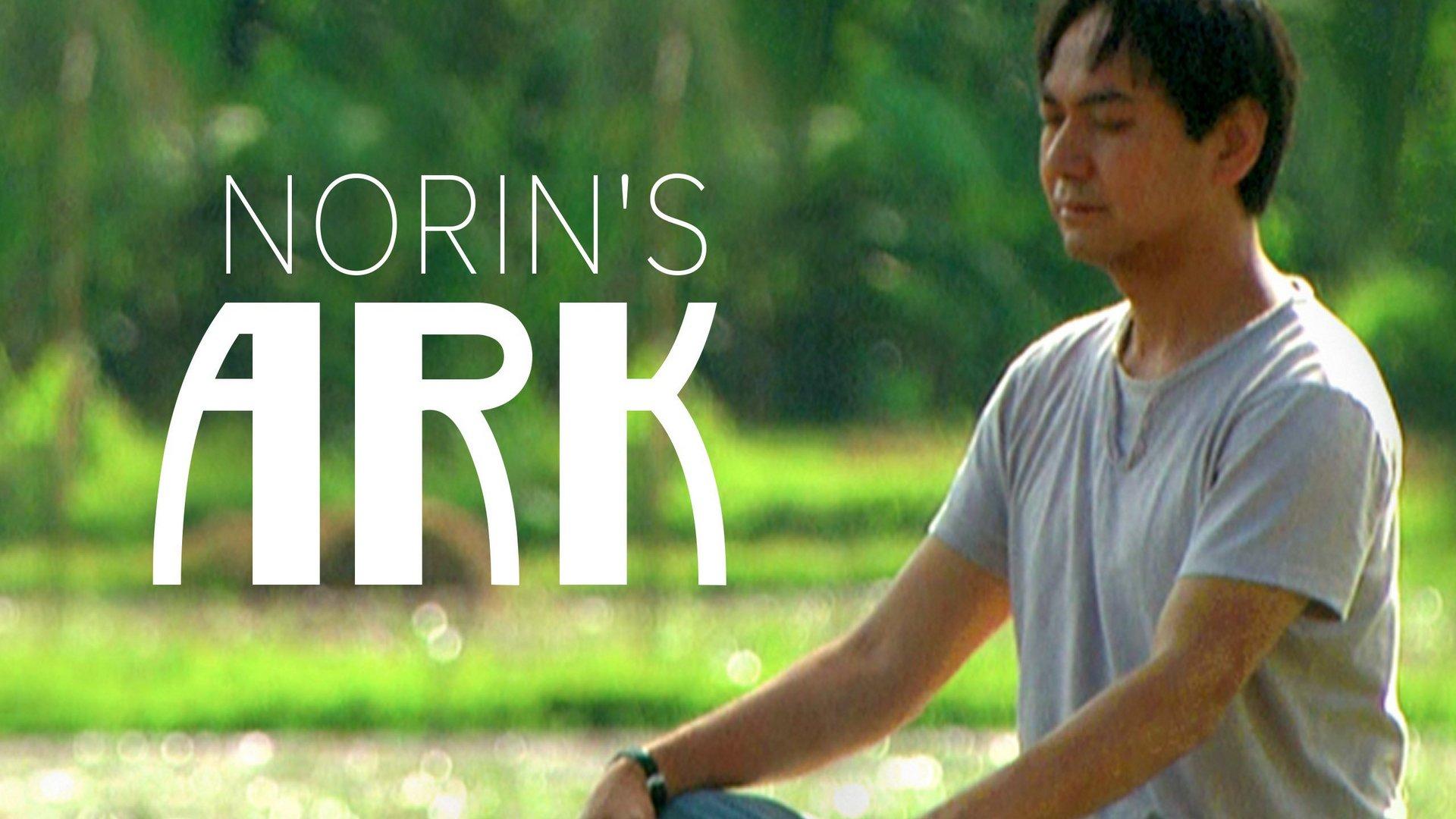 Ковчег Норина