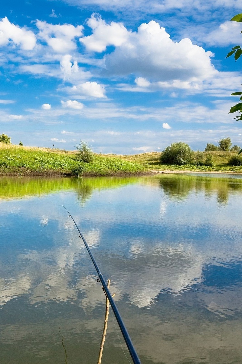 Мир рыболовного спорта. Сезон 2019. Супертурнир 2019. Финал