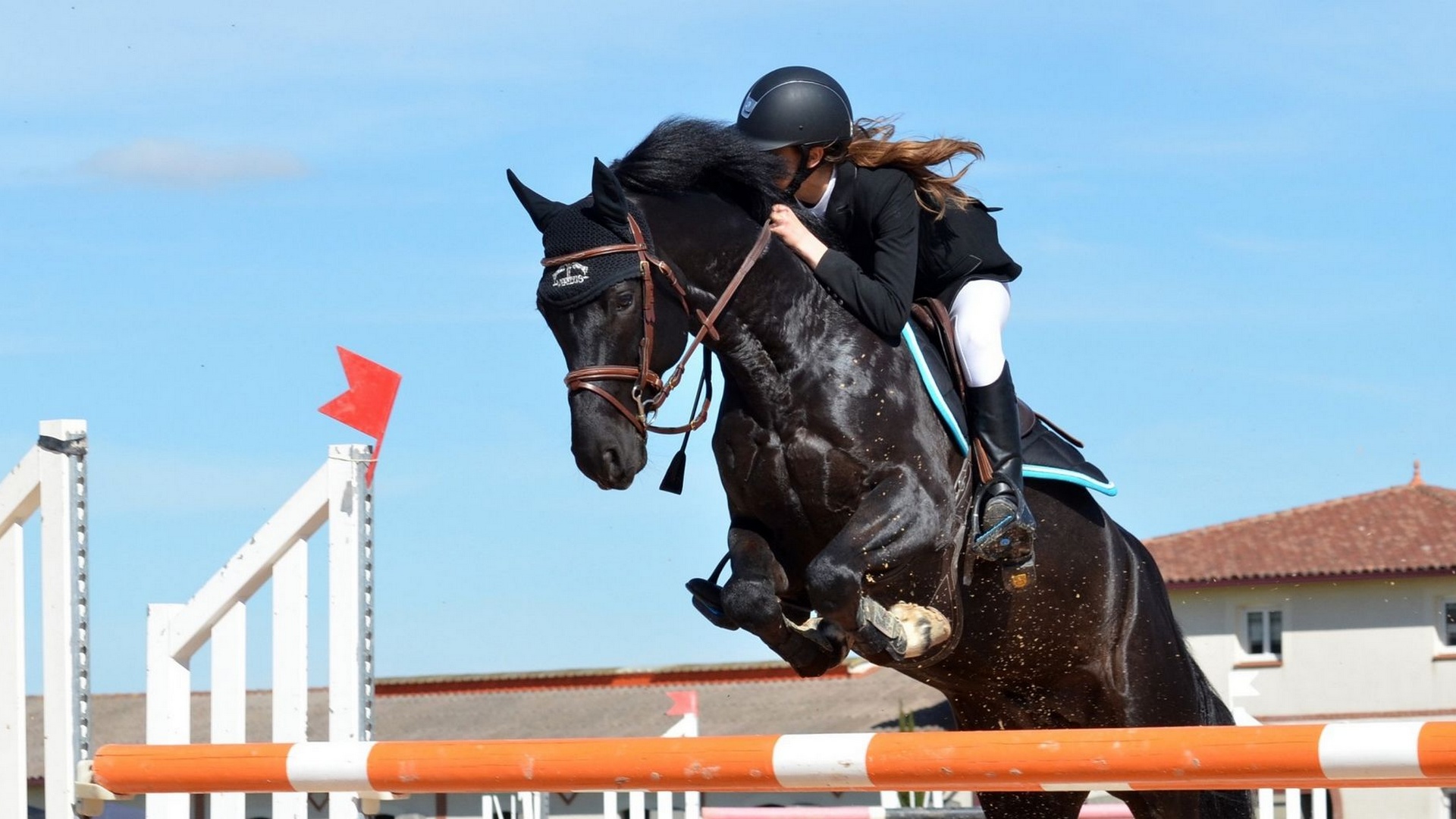 Скачки. Конноспортивный турнир Терра Башкирия. 13 этап