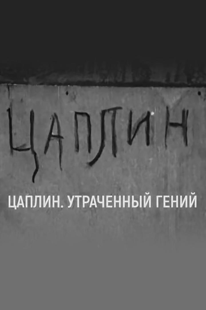 Дмитрий Цаплин. Утраченный гений