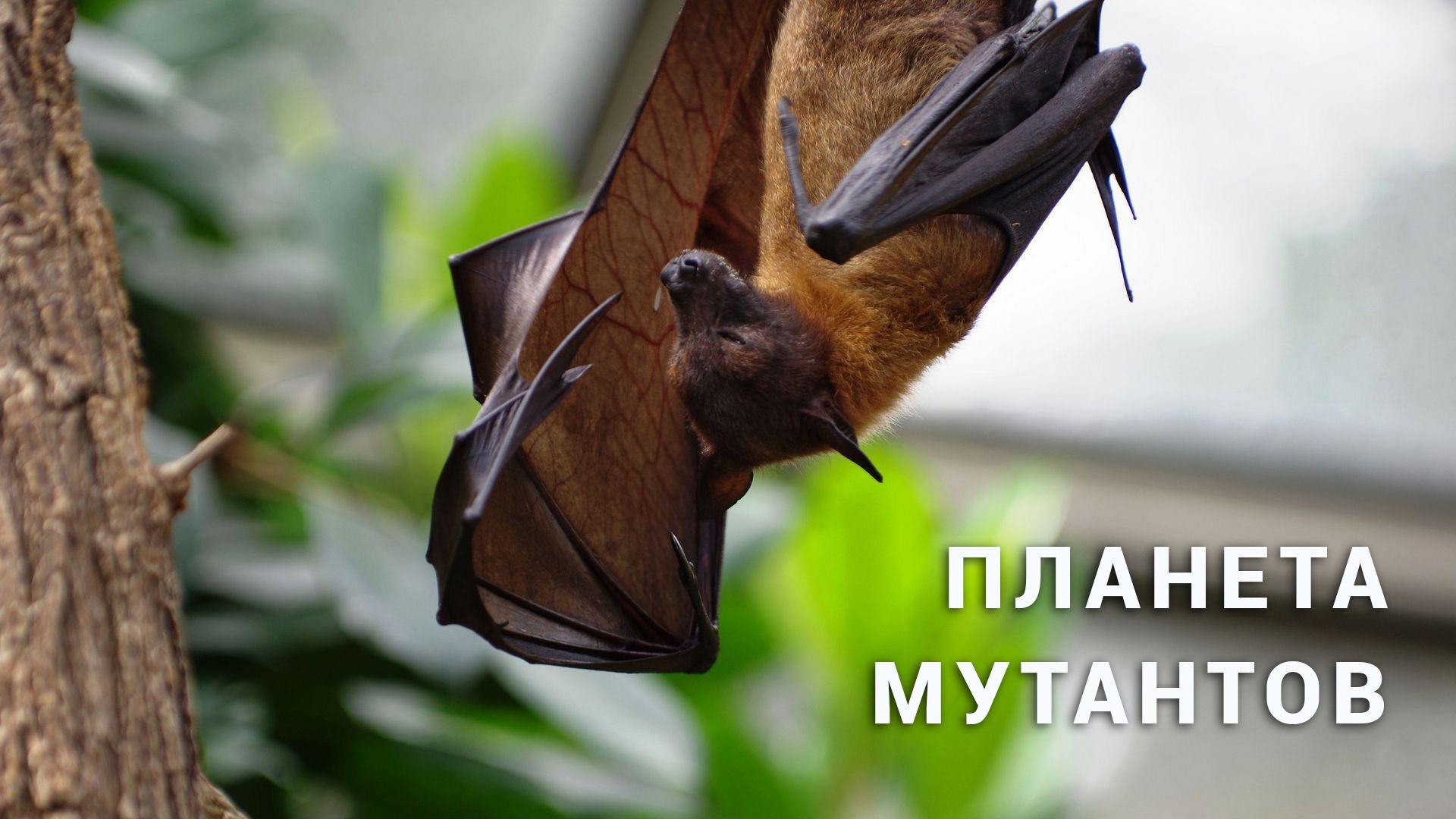 Планета мутантов
