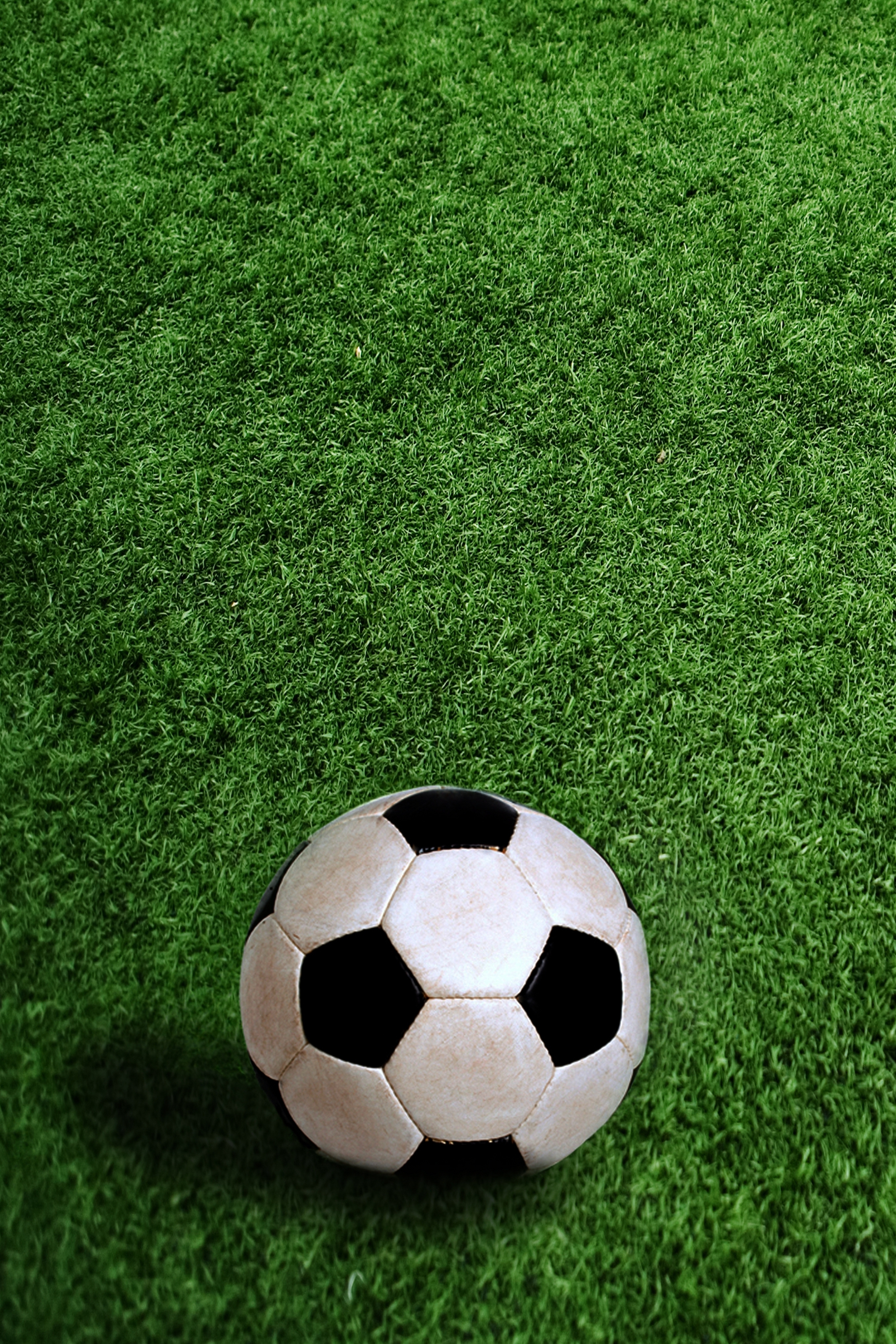 Товарищеский матч. Франция - Украина. В перерыве - Новости футбола