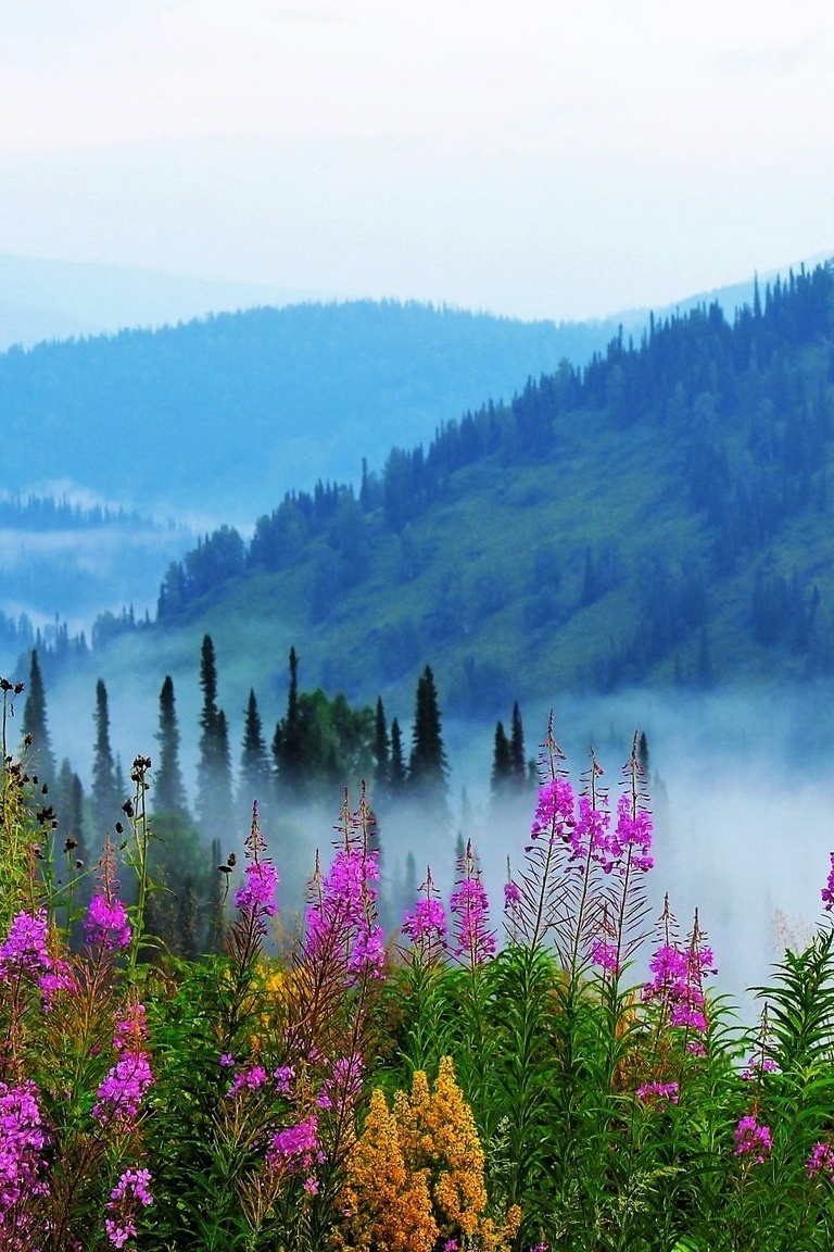 Одна в Сибири