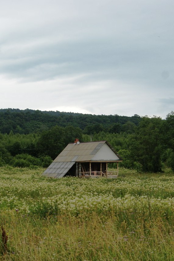Деревня Чик-Елга. Бортевое пчеловодство