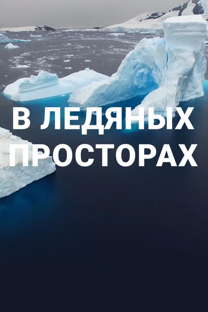 В ледяных просторах