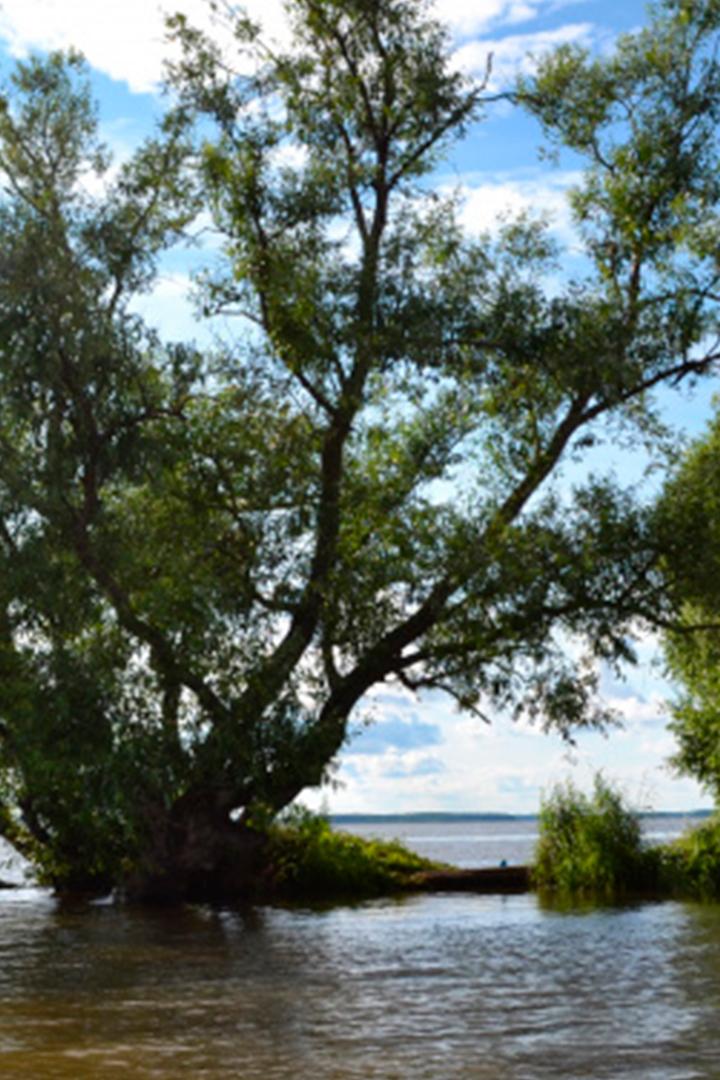 Остров Вежи"