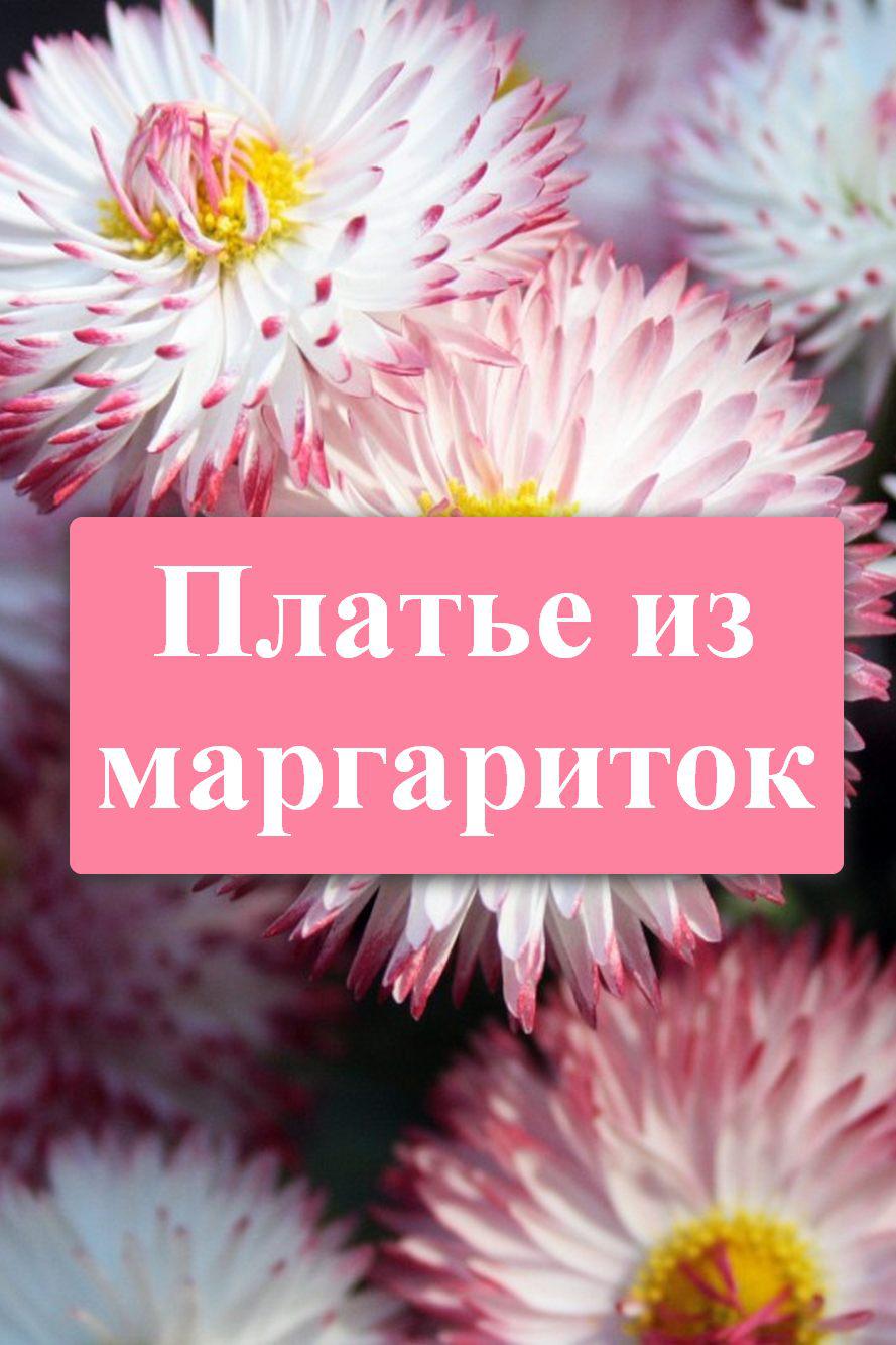 Платье из маргариток