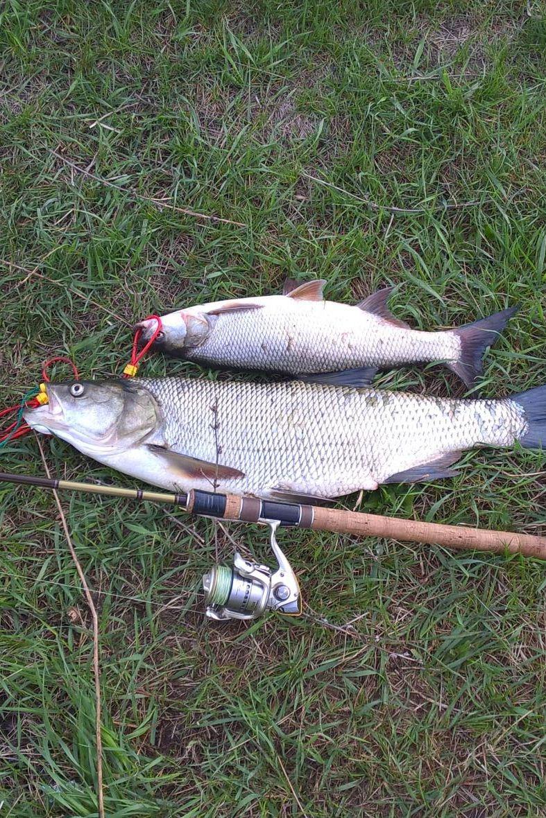 Рыбалка на реке Сим