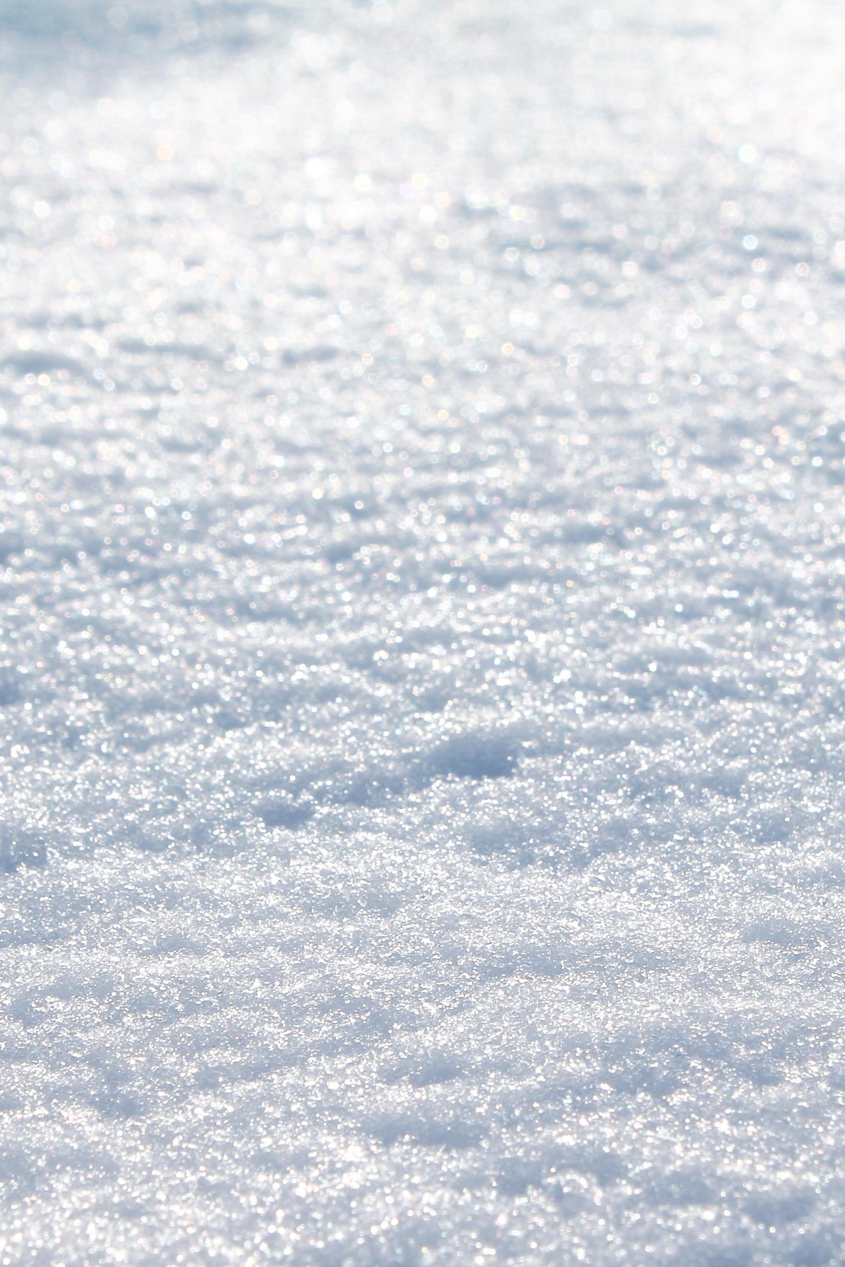 Выжить в снегу