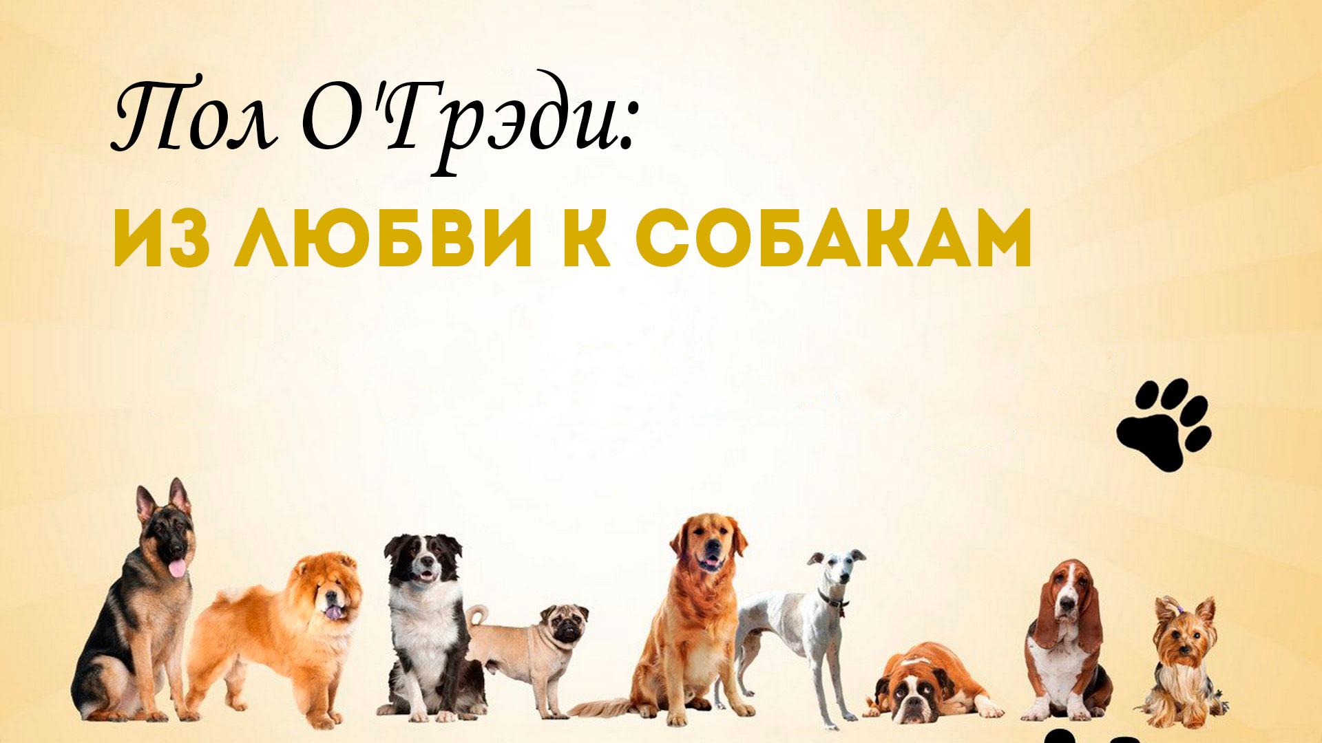 Пол О'Грэди: Из любви к собакам