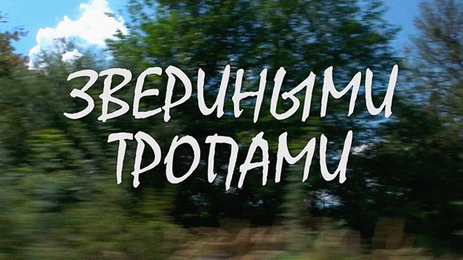 Звериными тропами. Зубровед