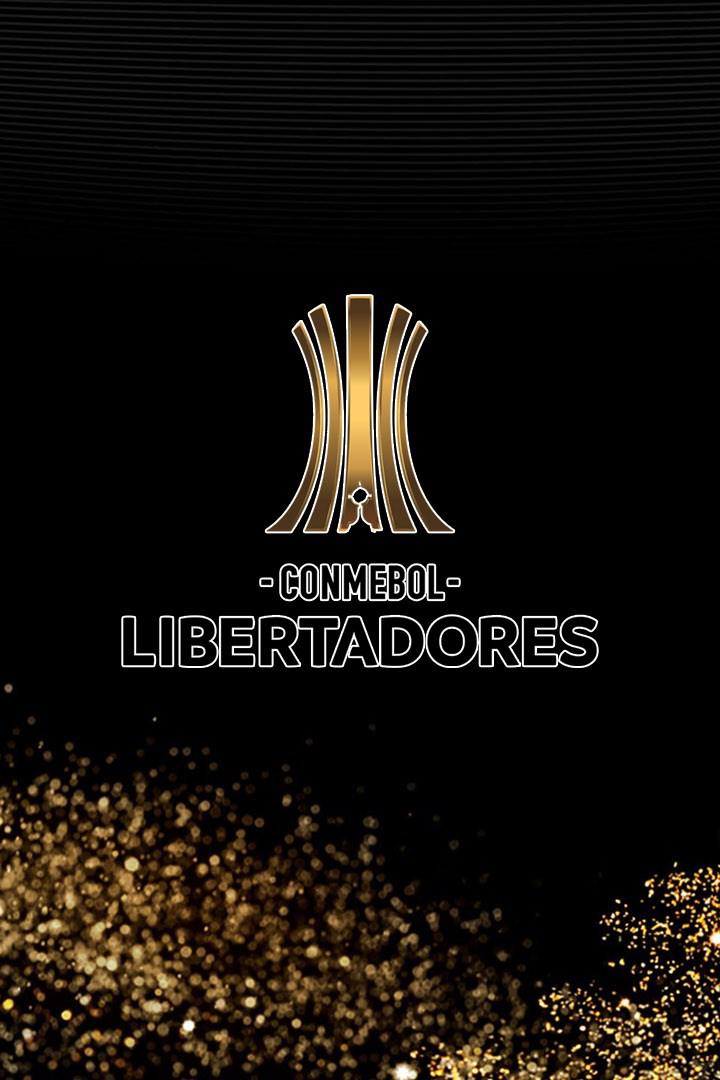 Кубок Либертадорес. 1/4 финала. "Насьональ" (Уругвай) - "Ривер Плейт" (Аргентина). Ответный матч. В перерыве - "Новости футбола"