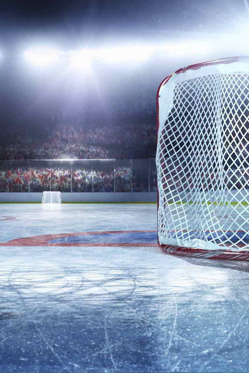 Хоккей. Товарищеский матч "Связь поколений"